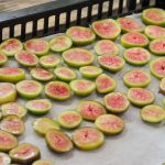 ドライいちじく製造現場